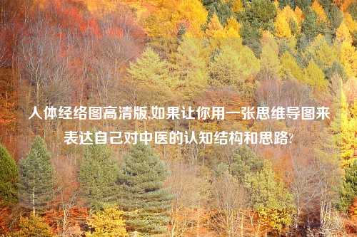 人体经络图高清版,如果让你用一张思维导图来表达自己对中医的认知结构和思路?