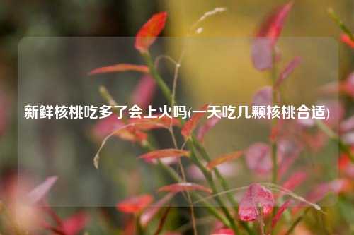 新鲜核桃吃多了会上火吗(一天吃几颗核桃合适)