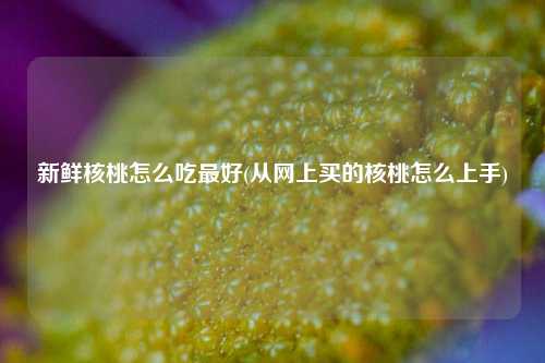 新鲜核桃怎么吃最好(从网上买的核桃怎么上手)