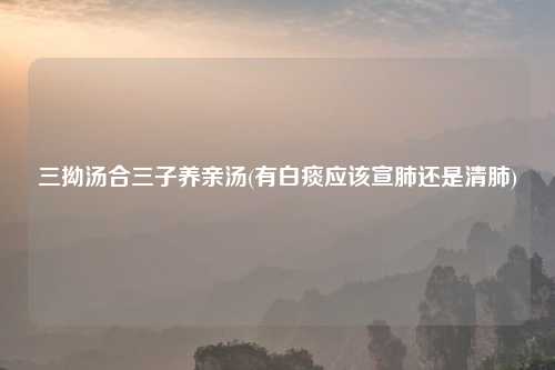三拗汤合三子养亲汤(有白痰应该宣肺还是清肺)