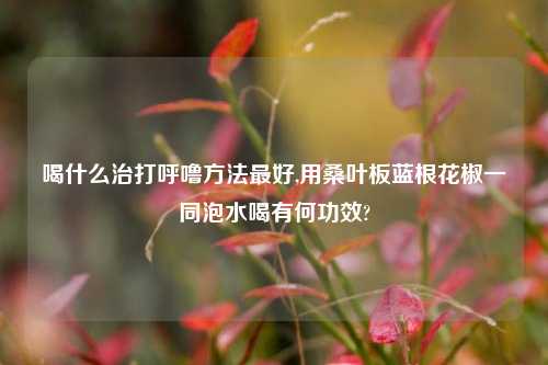 喝什么治打呼噜方法最好,用桑叶板蓝根花椒一同泡水喝有何功效?