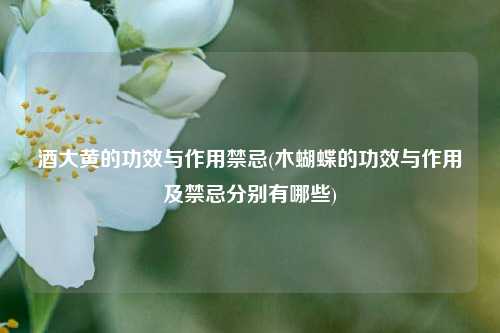 酒大黄的功效与作用禁忌(木蝴蝶的功效与作用及禁忌分别有哪些)