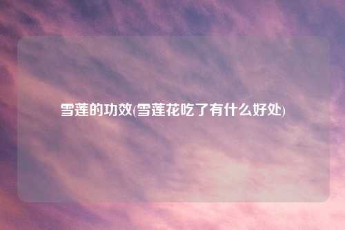 雪莲的功效(雪莲花吃了有什么好处)