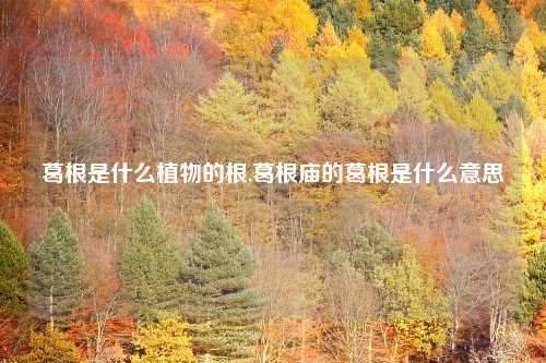 葛根是什么植物的根,葛根庙的葛根是什么意思