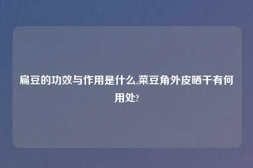 扁豆的功效与作用是什么,菜豆角外皮晒干有何用处?