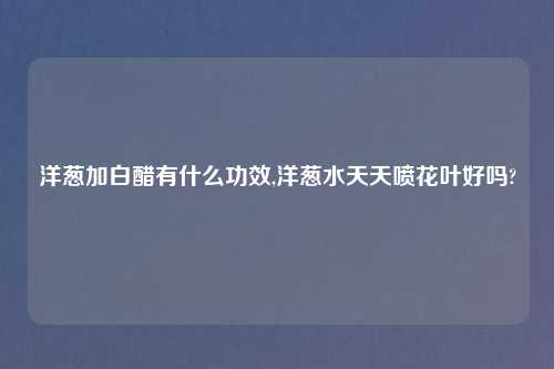 洋葱加白醋有什么功效,洋葱水天天喷花叶好吗?