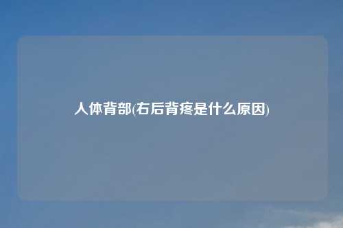 人体背部(右后背疼是什么原因)