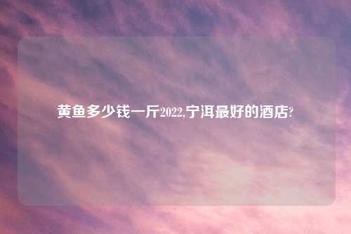 黄鱼多少钱一斤2022,宁洱最好的酒店?
