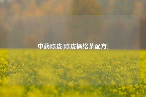 中药陈皮(陈皮橘络茶配方)