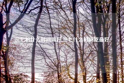 三七粉什么时间喝好,三七什么时间吃最好