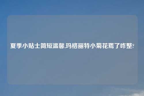 夏季小贴士简短温馨,玛格丽特小菊花蔫了咋整?