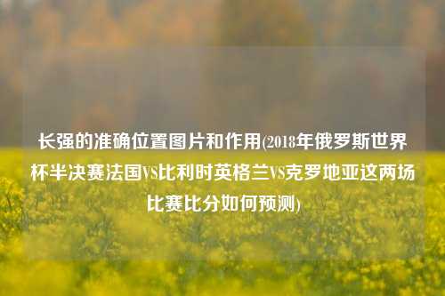 长强的准确位置图片和作用(2018年俄罗斯世界杯半决赛法国VS比利时英格兰VS克罗地亚这两场比赛比分如何预测)