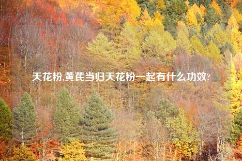 天花粉,黄芪当归天花粉一起有什么功效?