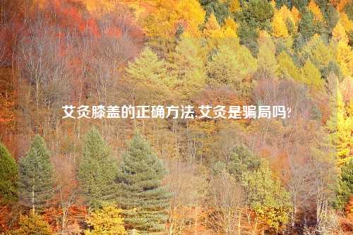 艾灸膝盖的正确方法,艾灸是骗局吗?