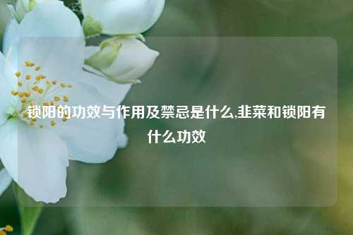 锁阳的功效与作用及禁忌是什么,韭菜和锁阳有什么功效