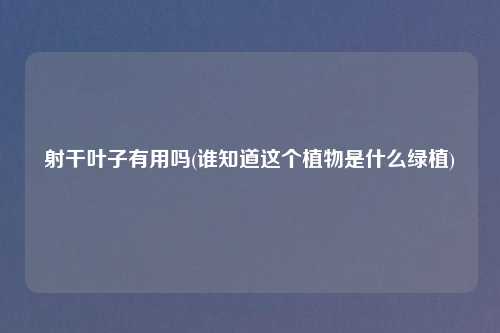 射干叶子有用吗(谁知道这个植物是什么绿植)