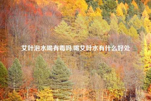 艾叶泡水喝有毒吗,喝艾叶水有什么好处