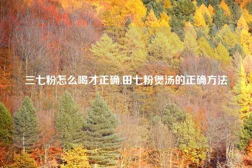 三七粉怎么喝才正确,田七粉煲汤的正确方法