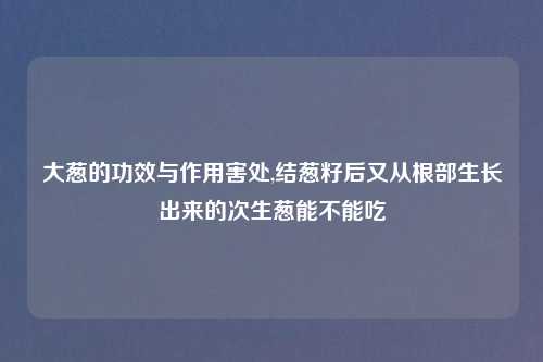 大葱的功效与作用害处,结葱籽后又从根部生长出来的次生葱能不能吃