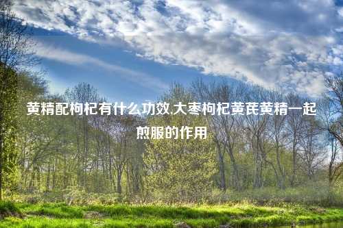 黄精配枸杞有什么功效,大枣枸杞黄芪黄精一起煎服的作用
