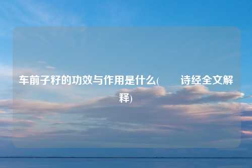 车前子籽的功效与作用是什么(芣苢诗经全文解释)