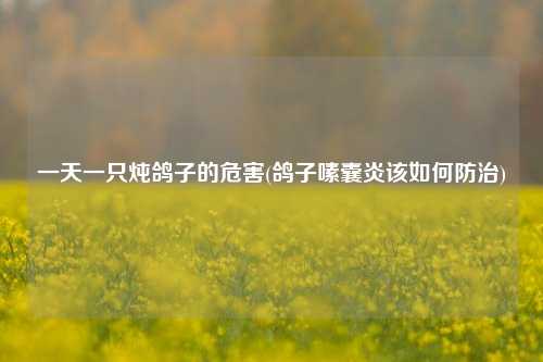 一天一只炖鸽子的危害(鸽子嗉囊炎该如何防治)