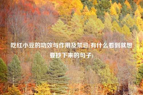 吃红小豆的功效与作用及禁忌(有什么看到就想要抄下来的句子)