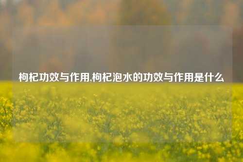 枸杞功效与作用,枸杞泡水的功效与作用是什么