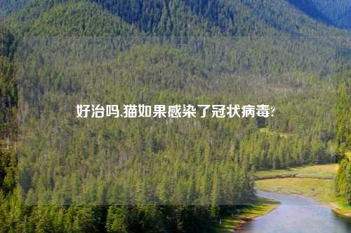 好治吗,猫如果感染了冠状病毒?
