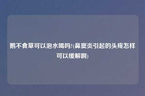 鹅不食草可以泡水喝吗?(鼻窦炎引起的头疼怎样可以缓解啊)