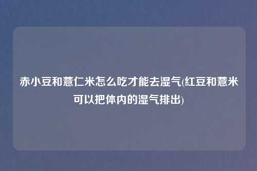 赤小豆和薏仁米怎么吃才能去湿气(红豆和薏米可以把体内的湿气排出)