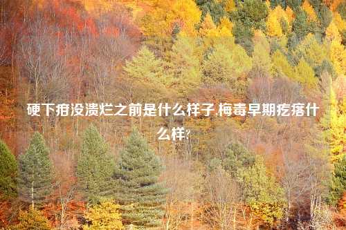 硬下疳没溃烂之前是什么样子,梅毒早期疙瘩什么样?