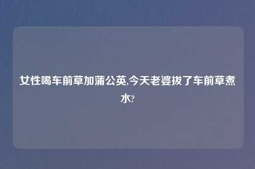女性喝车前草加蒲公英,今天老婆拔了车前草煮水?