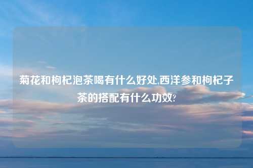 菊花和枸杞泡茶喝有什么好处,西洋参和枸杞子茶的搭配有什么功效?