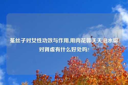 菟丝子对女性功效与作用,用肉花蓉天天泡水喝对肾虚有什么好处吗?