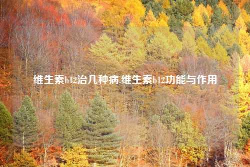 维生素b12治几种病,维生素b12功能与作用