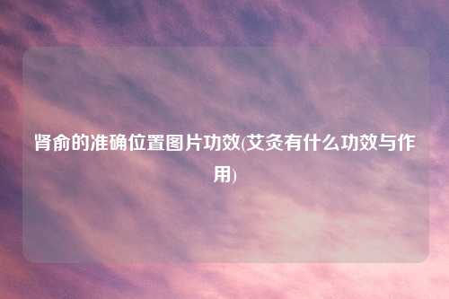 肾俞的准确位置图片功效(艾灸有什么功效与作用)