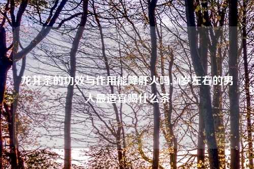 龙井茶的功效与作用能降肝火吗,50岁左右的男人最适宜喝什么茶