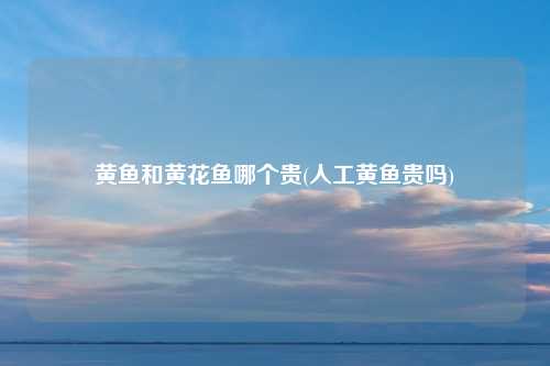 黄鱼和黄花鱼哪个贵(人工黄鱼贵吗)