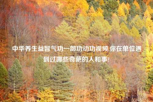 中华养生益智气功一部功动功视频,你在单位遇到过哪些奇葩的人和事?