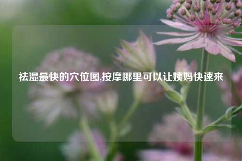 祛湿最快的穴位图,按摩哪里可以让姨妈快速来