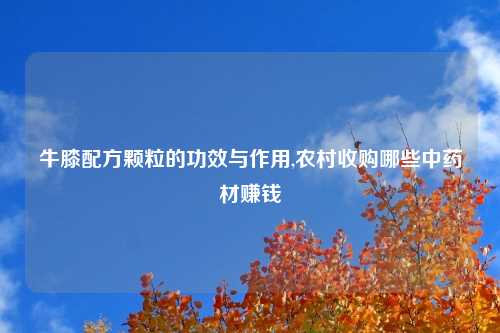 牛膝配方颗粒的功效与作用,农村收购哪些中药材赚钱