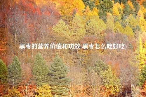 黑枣的营养价值和功效(黑枣怎么吃好吃)