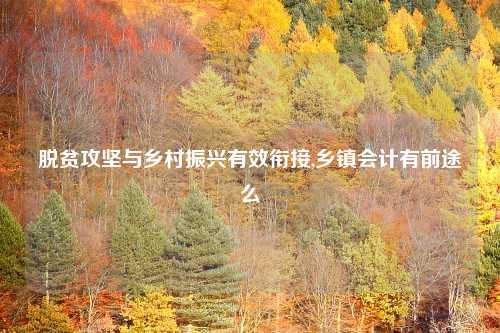 脱贫攻坚与乡村振兴有效衔接,乡镇会计有前途么