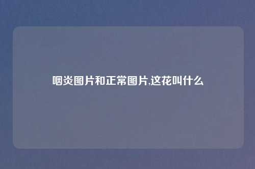 咽炎图片和正常图片,这花叫什么