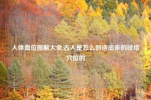 人体血位图解大全,古人是怎么创造出来的经络穴位的