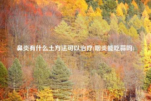 鼻炎有什么土方法可以治疗(咽炎能吃蒜吗)
