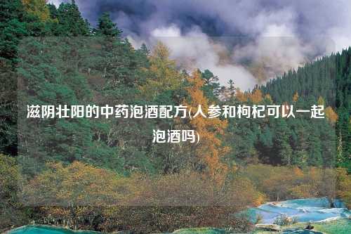 滋阴壮阳的中药泡酒配方(人参和枸杞可以一起泡酒吗)