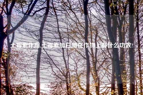 土霉素作用,土霉素加白醋在作物上有什么功效?