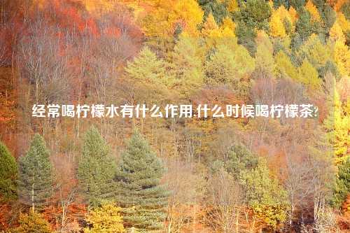 经常喝柠檬水有什么作用,什么时候喝柠檬茶?